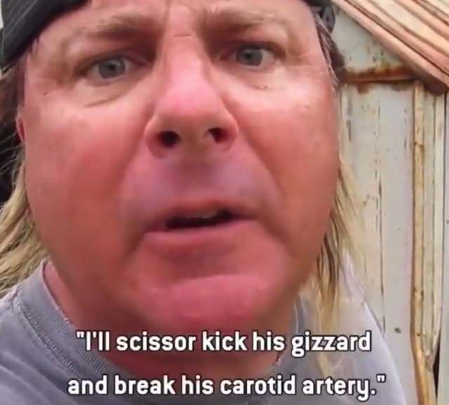 "'ll scissor kick his gizzard and break his carotid artery." iFunny