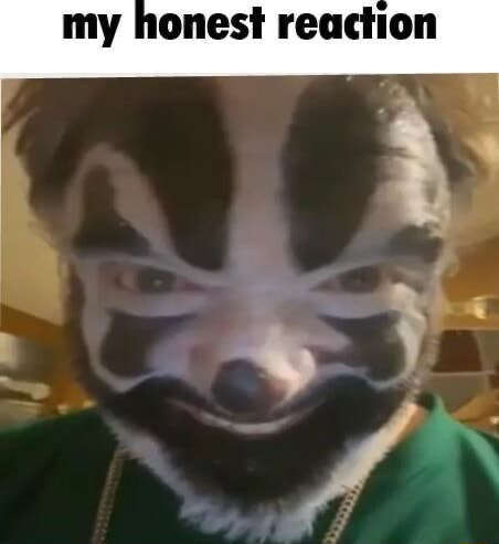 My Honest Reaction Dog GIF - My honest reaction My Honest