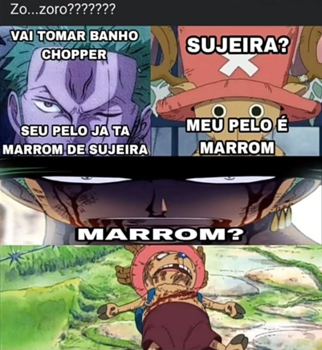 Fã de one piece explicando porque o zoro sola - iFunny Brazil