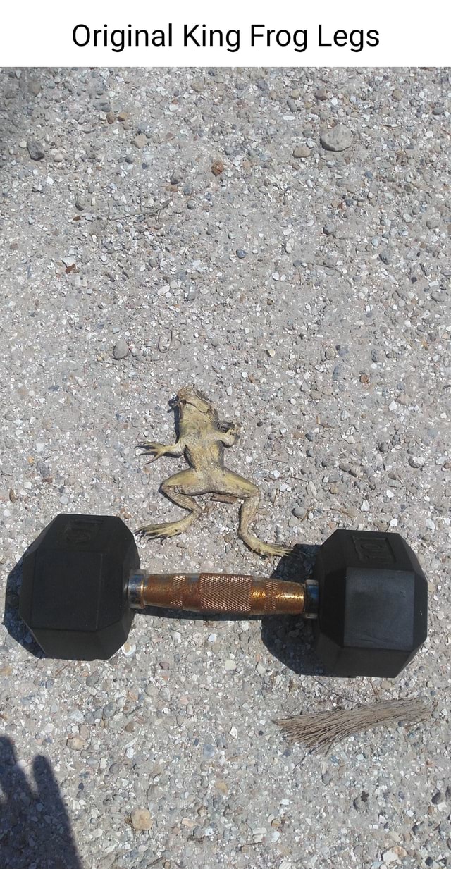 Original King Frog Legs - iFunny Brazil