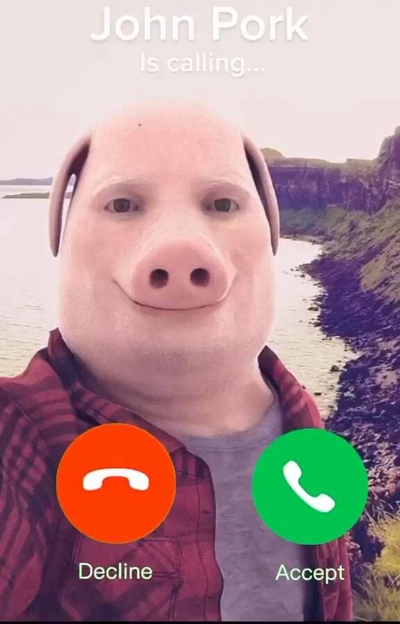 John Pork is calling. Decline Accept - iFunny Brazil