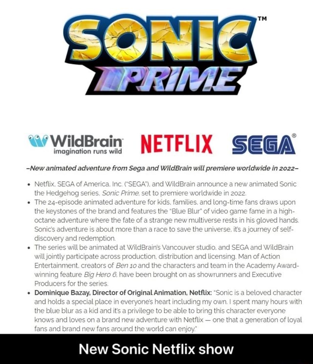 Netflix Sonic Animated Series Is Being Worked on by Ben 10 Creators