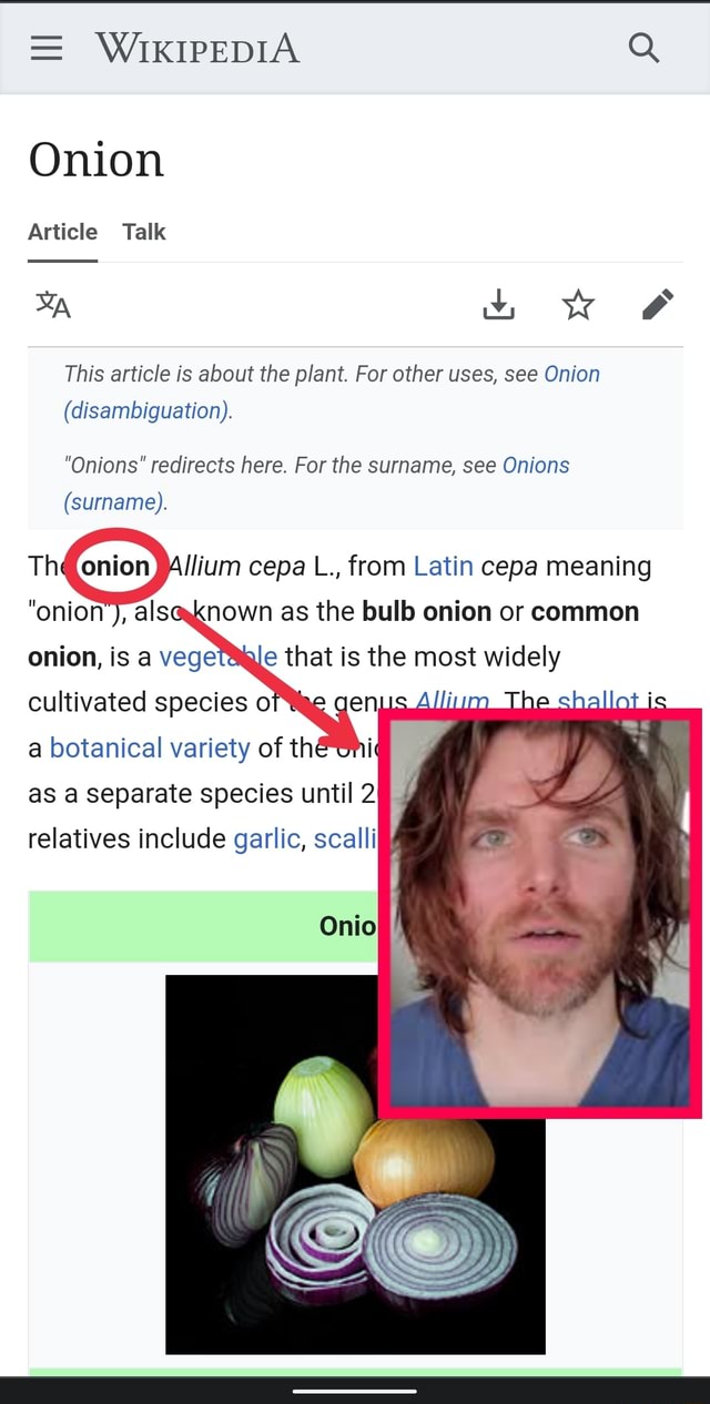 The Onion - Wikipedia