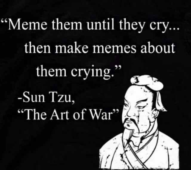 meme-them-until-they-cry-then-make-memes-about-them-crying-sun