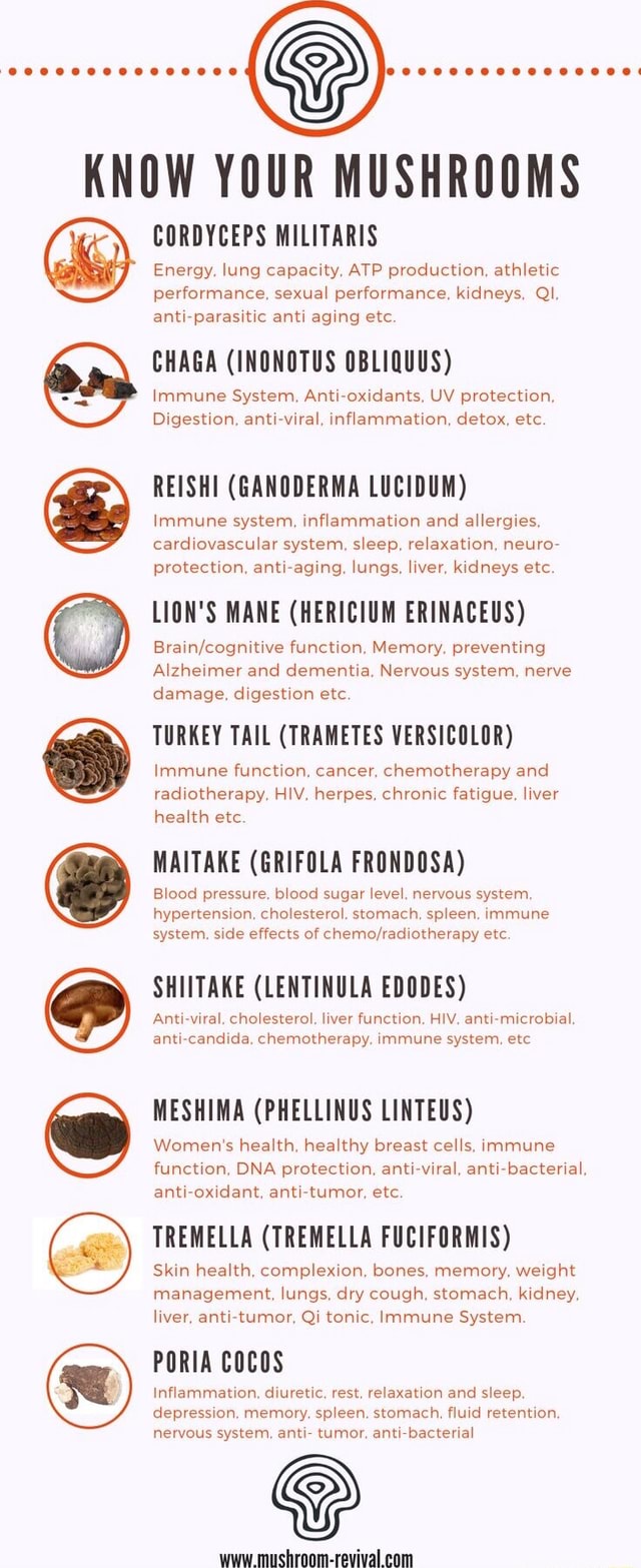 KNOW YOUR MUSHROOMS CORDYCEPS MILITARIS Energy. lung capacity, ATP