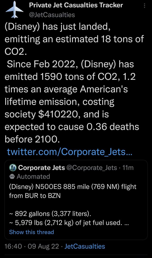 Private Jet Casualties Tracker JetCasualties (Disney) has just landed