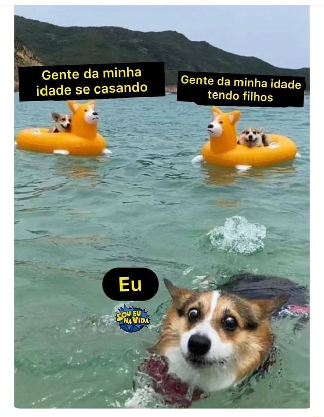 Memes da Vida (Qmemesdavidaofe Minha cabeça o dia todo: Que isso meu filho  calma Ele goooosta CAVALO (Qmemesdavida.ofe - iFunny Brazil