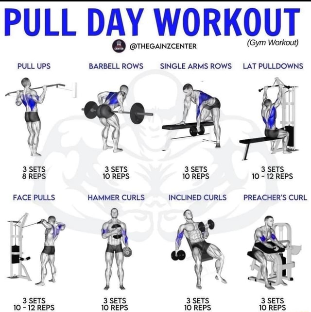 PULL DAY WORKOUT (Gym Workout) @THEGAINZCENTER (Gym Workout) PULL UPS  BARBELL ROWS SINGLE ARMS ROWS LAT PULLDOWNS 3 SETS 3 SETS 3 SETS 3 SETS 8  REPS 10 REPS 10 REPS 10 
