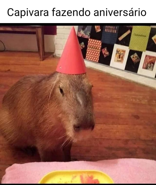 Fato capivara 21 capivara são agiota - iFunny Brazil