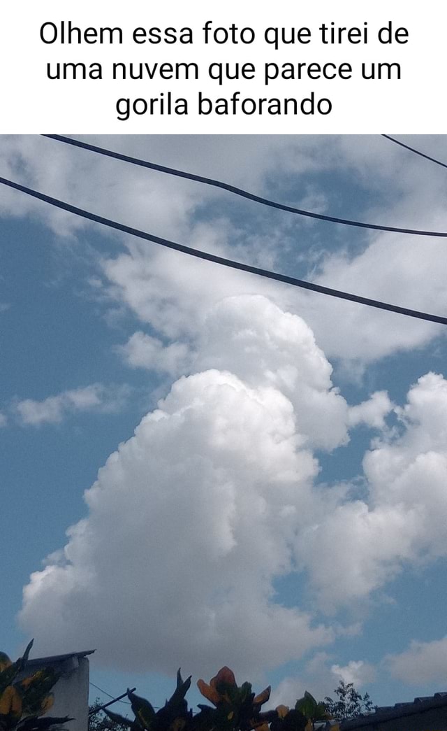 Olhem essa foto que tirei de uma nuvem que parece um gorila baforando -  iFunny Brazil