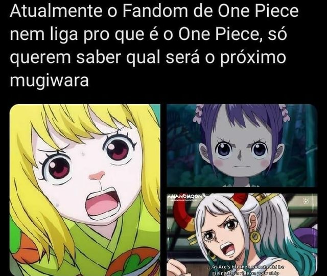 Comecei a assistir one piece só pra saber o nome das personagens femininas  tô um dos meus achados: 42258, 56790, 310579 e 154289 - iFunny Brazil