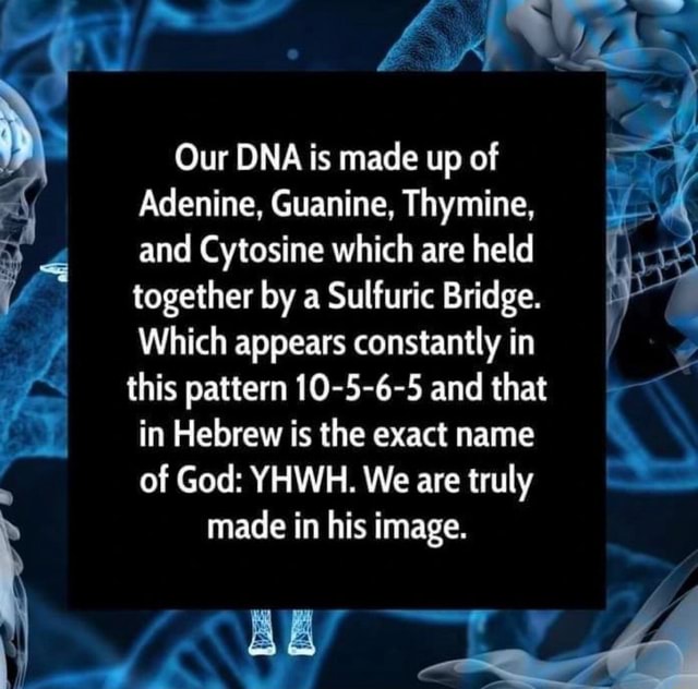 Our DNA is made up of Adenine, Guanine, Thymine, and Cytosine which are