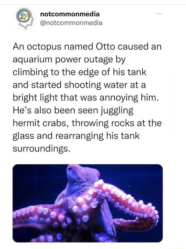 Science Acumen - How an octopus named Otto caused an aquarium