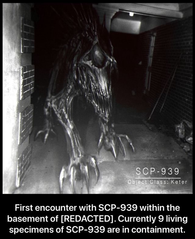 SCP-RP civilnetworks 939 - scp post - Imgur