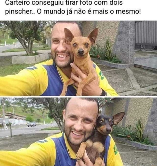 Curtido por caro outras pessoas renansouzones Encostei nos bagos do touro,  depois ainda descobri que isso dá sorte com dinheiro. Vantagem dupla! -  iFunny Brazil