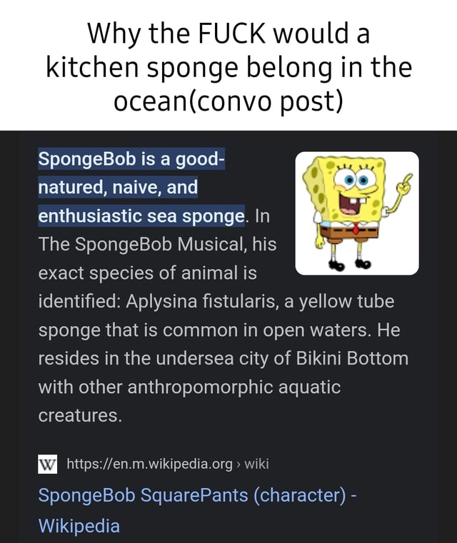 SpongeBob SquarePants (character) - Wikipedia