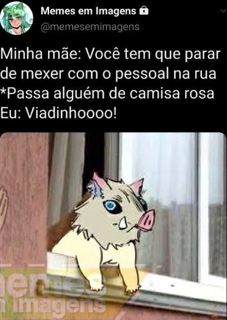 Memes em Imagens Minha mãe: Você tem que parar de mexer com o pessoal na  rua Passa alguém de camisa rosa Eu: Viadinhoooo! - iFunny Brazil