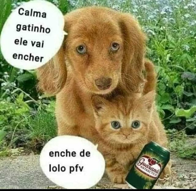 LOLÓ LAND BAFORANDO SONHOS - iFunny Brazil