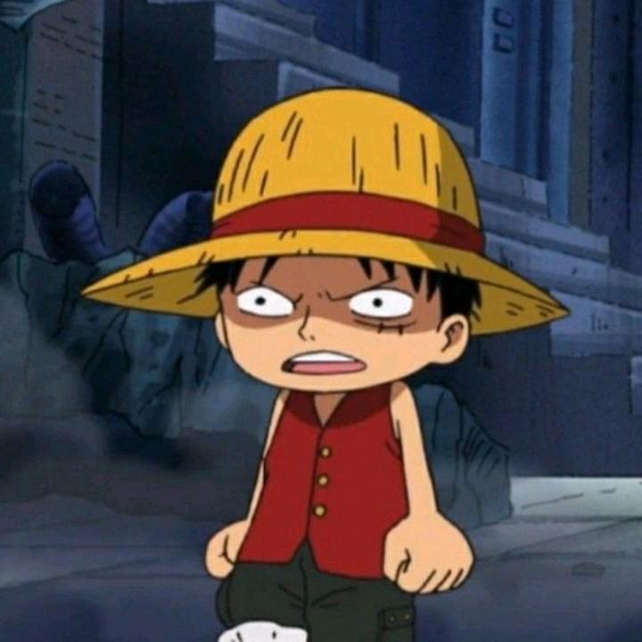 foto perfil one piece