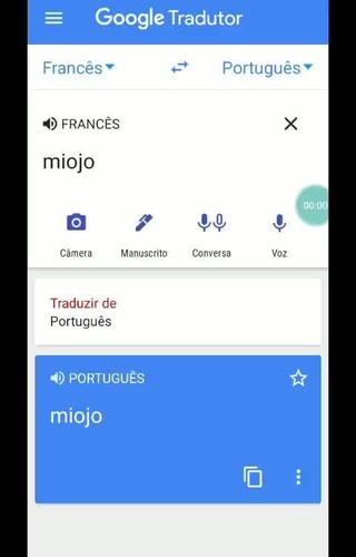 Google Tradutor Portugués ¥ PORTUGUÊS cura da depressão Câmera Manuscrito  [o NIE 4) INGLES minecraft - . - iFunny Brazil