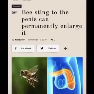 Ea Bee sting to the penis can permanently enlarge it iFunny Brazil