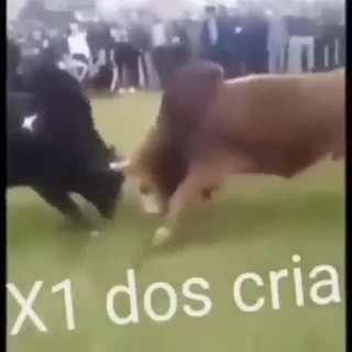 X1 dos Cria - iFunny Brazil