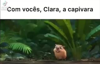 Clara a Capivara• 