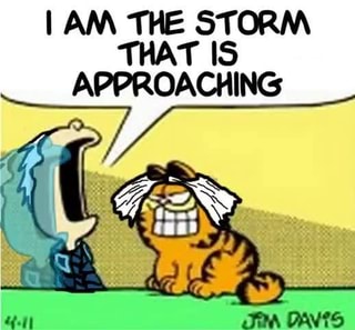 I AM THE STORM THAT IS APPROACHING ( * __*)/ 