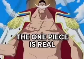 Central One Piece Ecentralopbr IMAGENS NÃO PODEM MACHUCAR* AS IMAGENS: -  iFunny Brazil