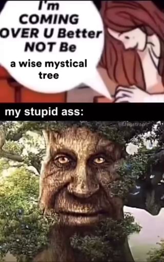 Wise Mystical Tree' Viagra: base - iFunny Brazil