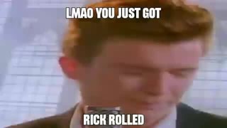 Prefer the real Rick Roll duckroll said the real Rick Roll Perfection. -  iFunny Brazil