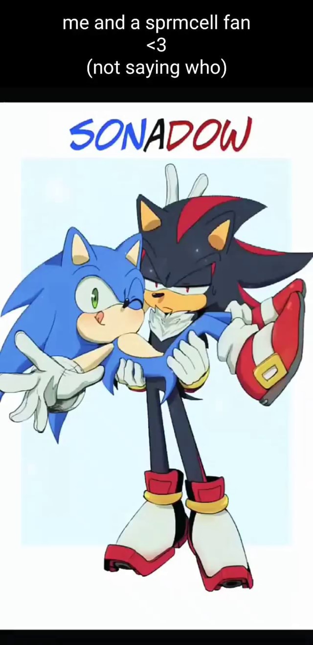 Sonadow in 2023  Sonic and shadow, Sonic funny, Sonic x shadow fanart