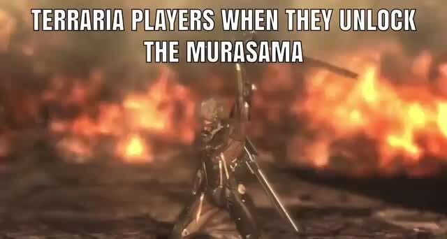 terraria, but i start with 1 damage Murasama 