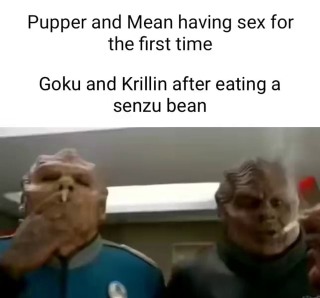 Pupper And Mean Having Sex For The First Time Goku And Krillin After