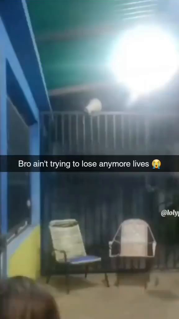 Bro ain't trying to lose anymore lives @loly, - iFunny