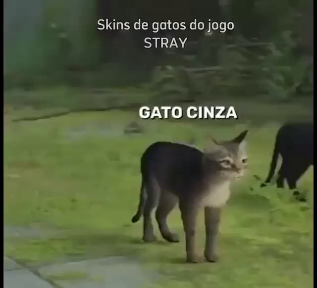 JOGO DO GATO - iFunny Brazil