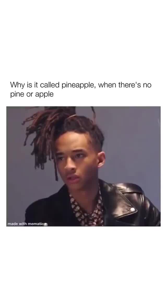 Why is it called pineapple, when there's no pine or apple mage with