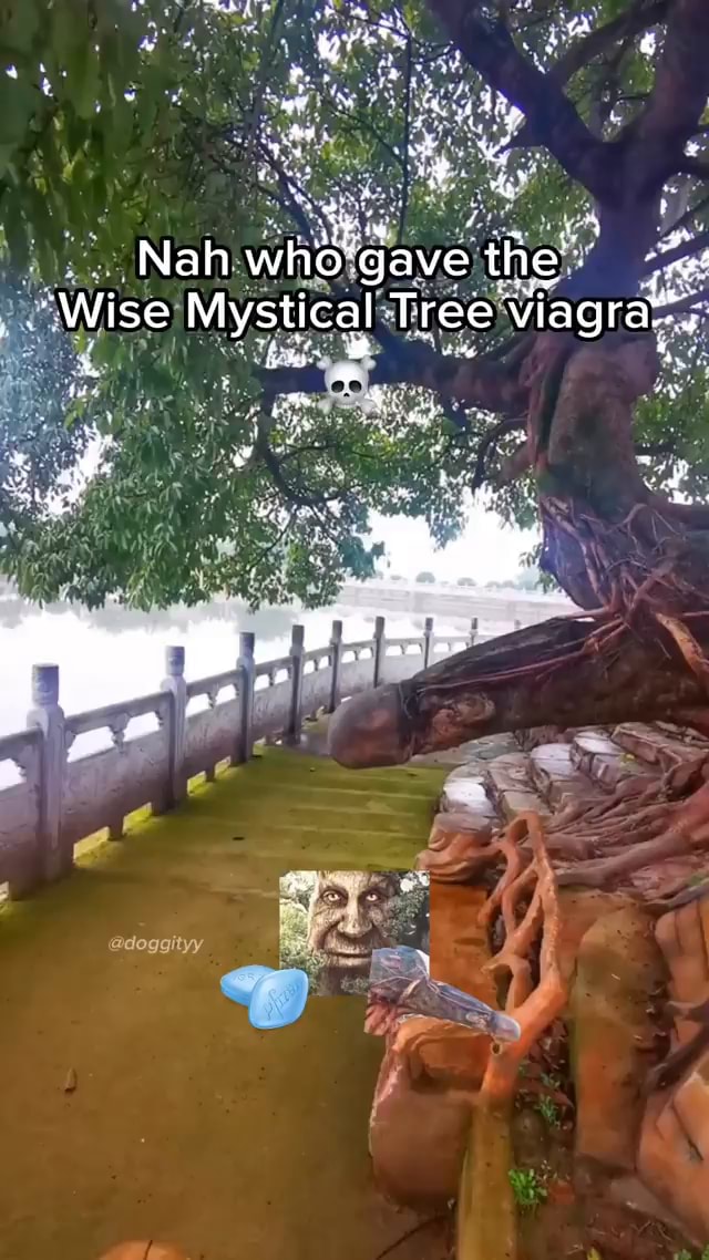 WISE MYSTICAL TREE