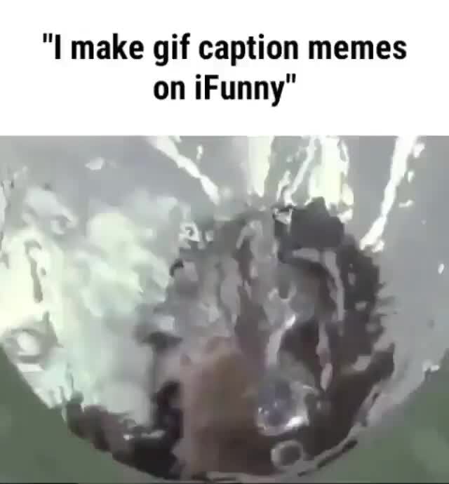 I make gif caption memes on iFunny - iFunny Brazil