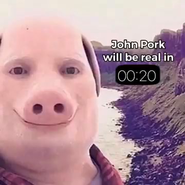 Me Farting John Pork Aecept - iFunny Brazil