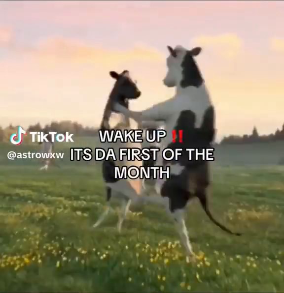 TikTok WAKE UP astowns, [TS DA FIRST OF THE MONTH iFunny Brazil