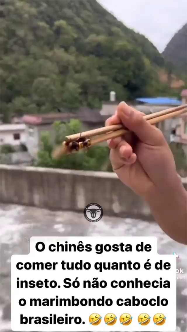 Chines vao vim tudo pra ca cume catholo 🤓