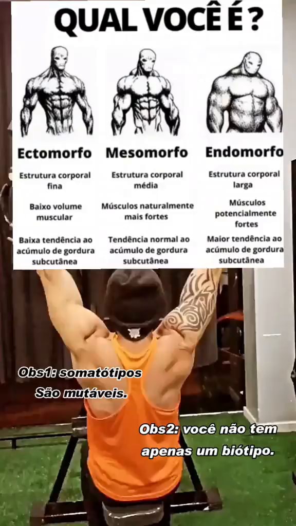 QUAL VOCÊ Ectomorfo Mesomorfo Endomorfo Estrutura Corporal Estrutura ...