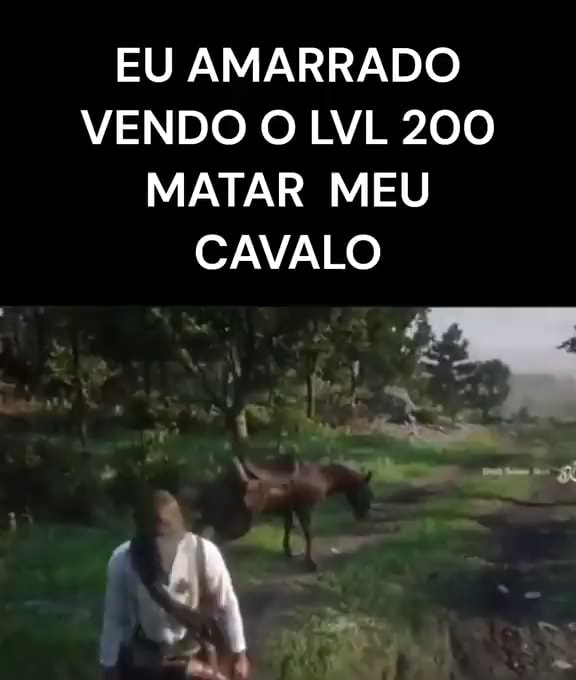 EU AMARRADO VENDO O LVL 200 MATAR MEU CAVALO - iFunny Brazil