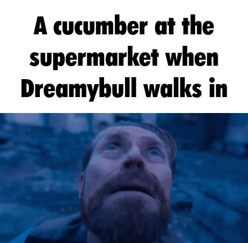 whos dreamybull