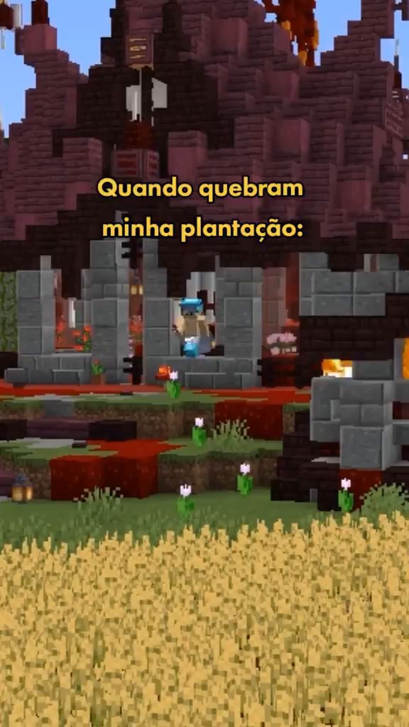 Minha plantação no mine ds - iFunny Brazil