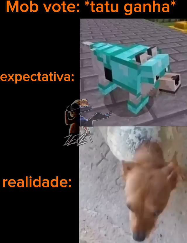 Acho que o tatu ganha : r/minecraftbrasil