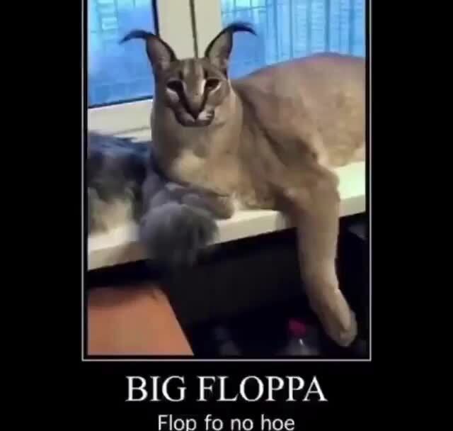 At no Roblox Raise a Floppa raise a floppa d691% &25,2 mil - iFunny Brazil