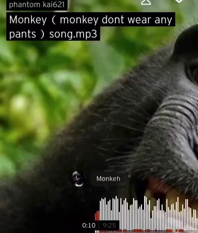 Stream Monkey ( monkey dont wear any pants ) song.mp3 by phantom kai621