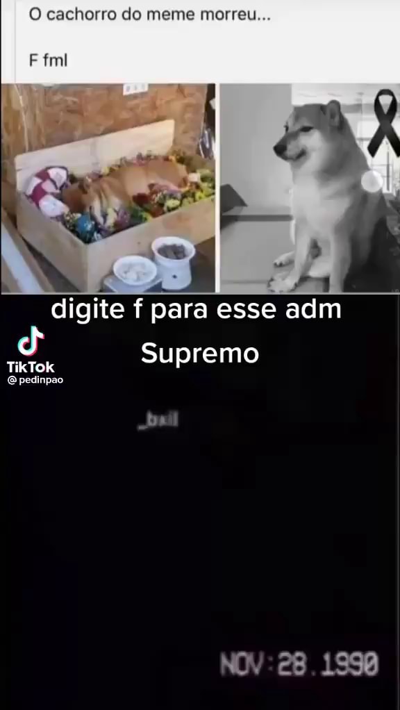 Gente,o cachorro do meme morreu) Press 'F to Pay Respects - iFunny